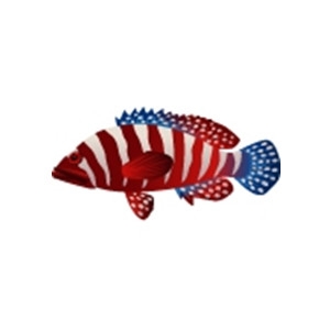 Flag Day Grouper